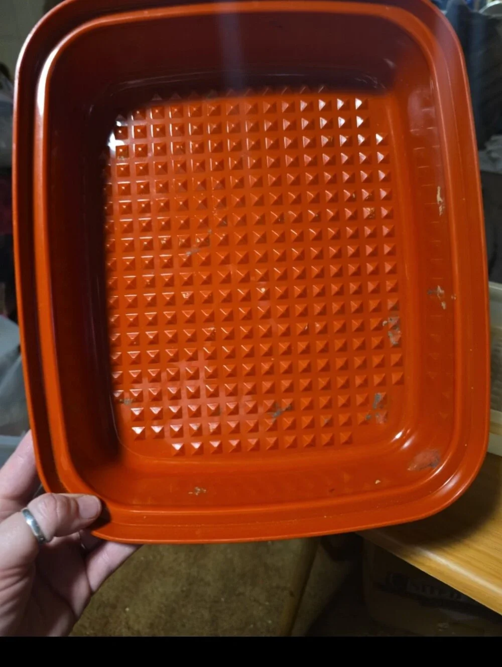Vtg Tupperware Season N Serve Lg Marinade Container Paprika Red 1294 -8 & Lid